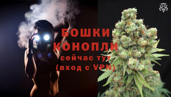 марки lsd Гусь-Хрустальный