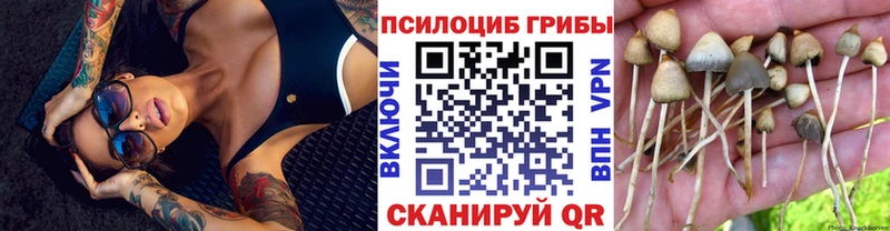 Купить где  Краснознаменск  Галлюциногенные грибы прущие грибы 